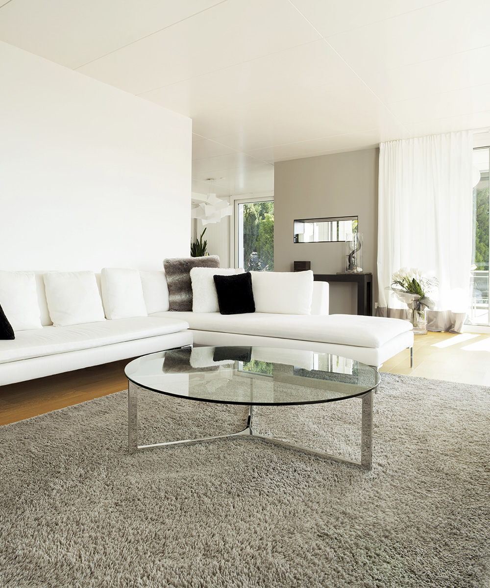 Clean carpet in living room